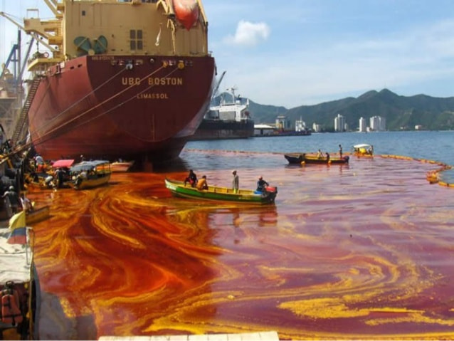 Water pollution (Corrected Essay)