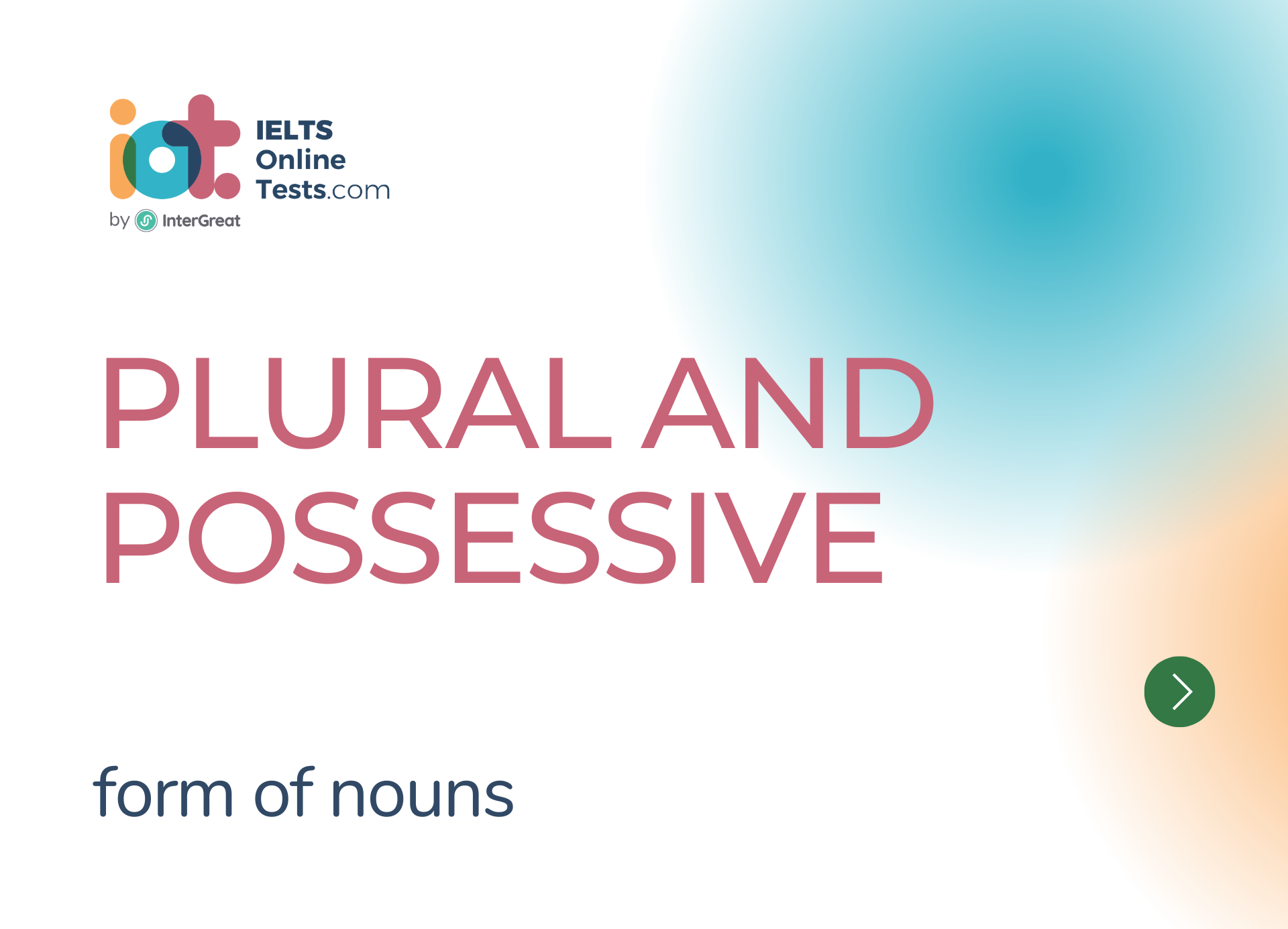 Plural and Possessive Forms of Nouns