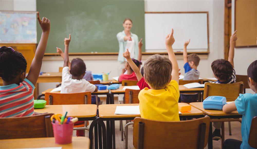 Essay Writing Evaluation for Band 7