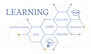 Lộ Trình IELTS 7.0+ Chi Tiết Cho Người Bắt Đầu Từ Con Số 0