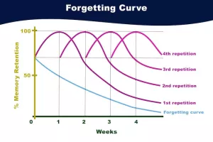 Spaced Repetition: Phương pháp học từ vựng tiếng Anh hiệu quả, ghi nhớ lâu hơn